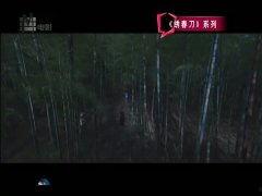 国产精品大陆在视频,影视盛宴，展现中国魅力